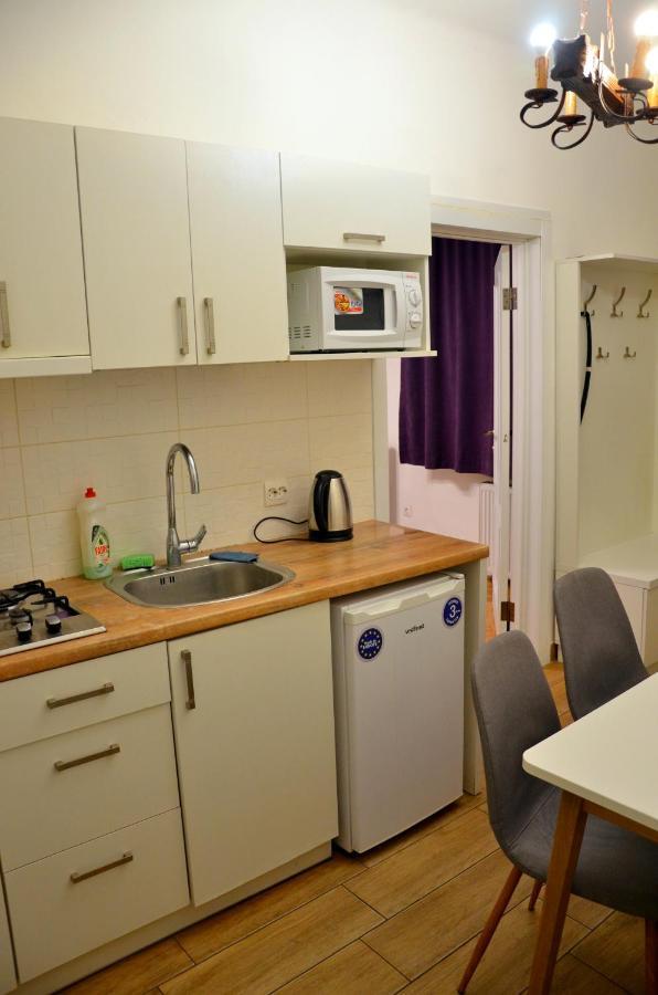 Brand New Apartment In City Center Lviv Dış mekan fotoğraf